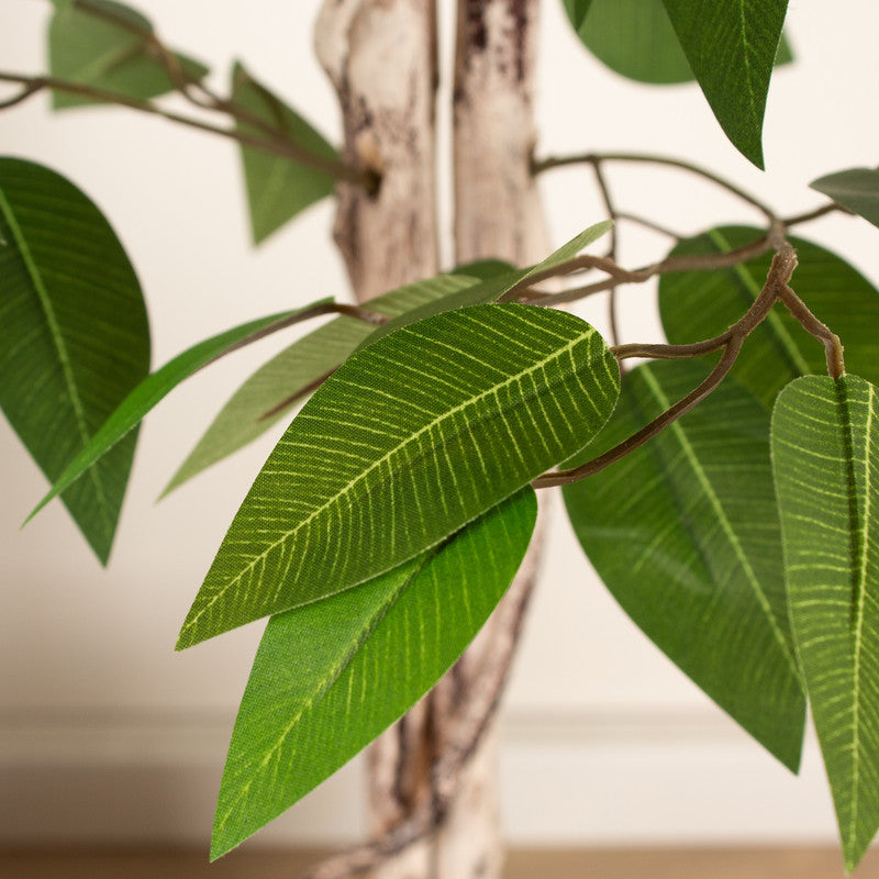 160cm Artificial Ficus Tree in cement pot
